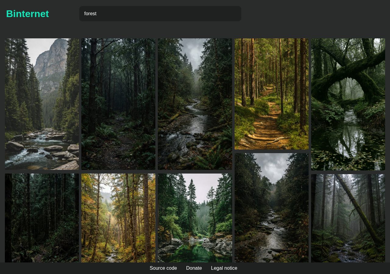 Binternet — Public search for “forest” · 2026-09-07 03:02:43 UTC